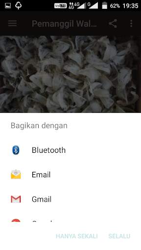 Pemanggil Walet Mp3 screenshot 3