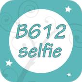Free B612 Guide 2.0