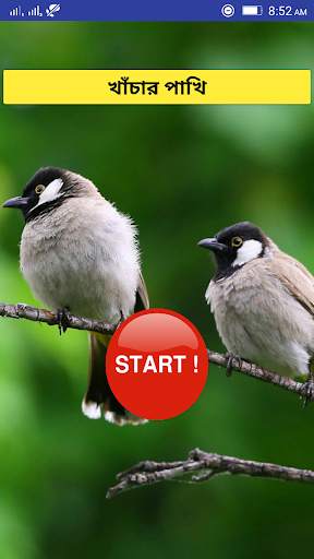 Birds Care स्क्रीनशॉट 1