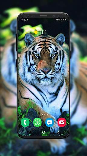 Backgrounds and Wallpapers ( Offline ) screenshot 5
