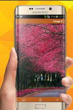 Pink Wallpapers 8K 5 تصوير الشاشة
