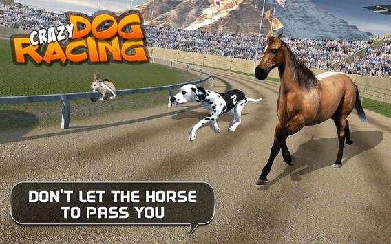Crazy Dog Racing 8 تصوير الشاشة
