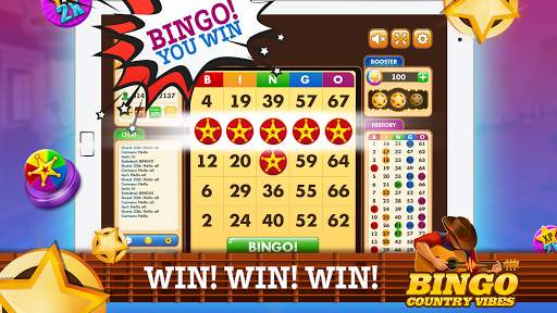 Bingo Country Vibes-Live Games screenshot 6