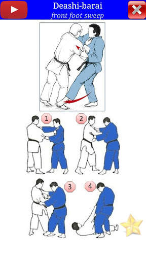 Judo in brief screenshot 3