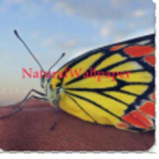 Natural Wallpaper 1.0