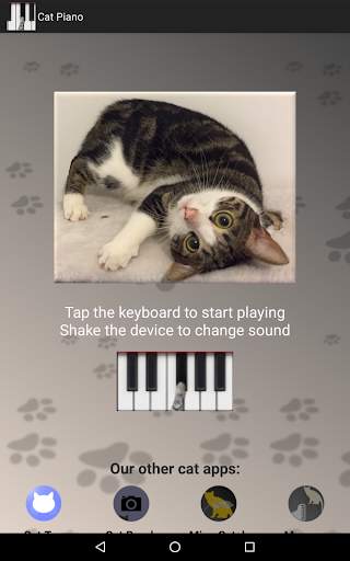 Cat Piano screenshot 8