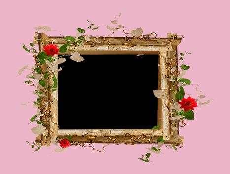 Lovely Flowers Photo Frames screenshot 1