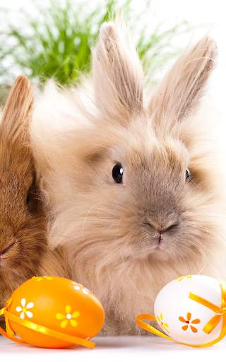 Easter Bunny Live Wallpaper HD screenshot 7
