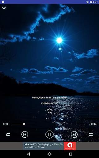 Violin Music Collection screenshot 10