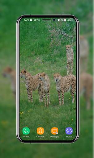 New Cheetah Wallpapers screenshot 14