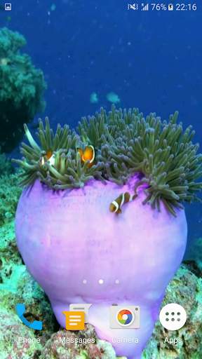 Sea Life 3D Video Wallpaper screenshot 4