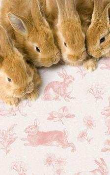 Easter Bunny Wallpapers screenshot 6