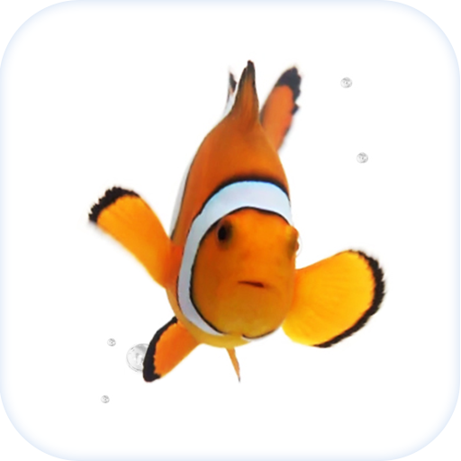 Clown Fish Animated Keyboard + Live Wallpaper icon