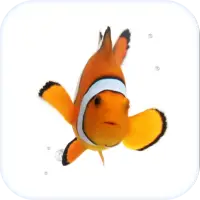 Clown Fish Animated Keyboard + Live Wallpaper on 9Apps