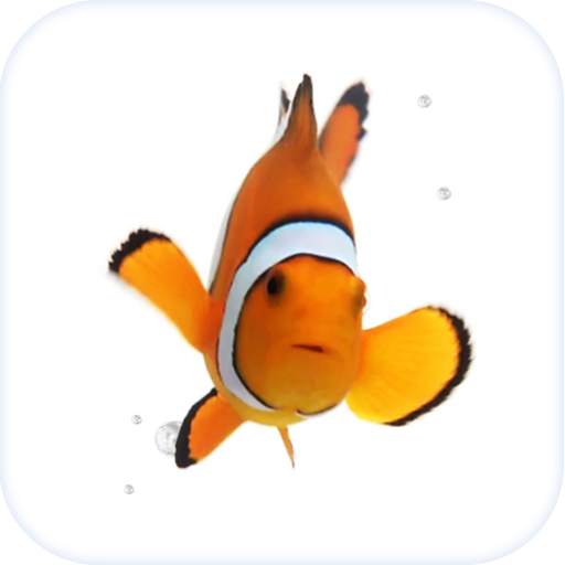 Fish Live Wallpaper Theme HD 5.9.63