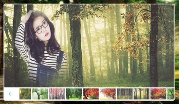 Forest Photo frame screenshot 8