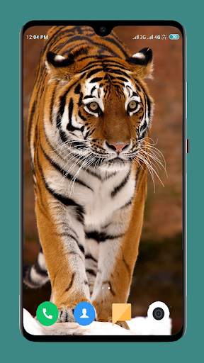 Wild Animal Wallpaper 4K 16 تصوير الشاشة