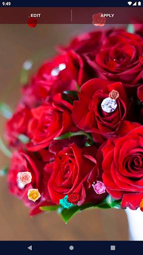 Red Rose Live Wallpaper screenshot 7