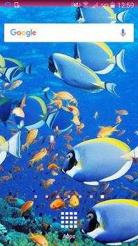 Fish Wallpapers screenshot 2