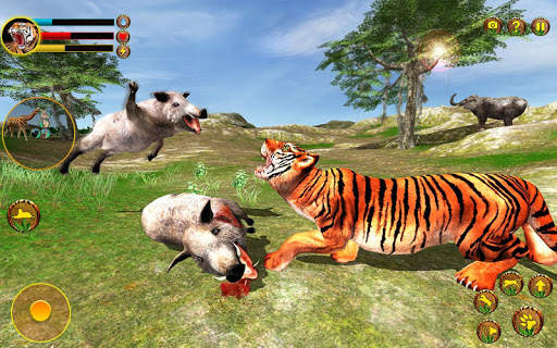 Wild Tiger Simulator 3d animal games screenshot 4