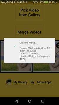 Easy Video Merger screenshot 2