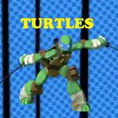 Special Ninja Turtles Displays 1.0