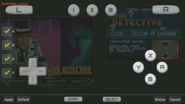 DraStic DS Emulator DEMO screenshot 5