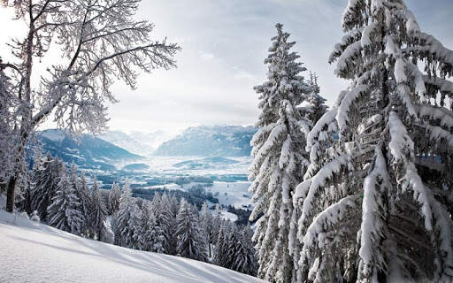 10000  Nature Wallpapers HD (Offline) screenshot 16