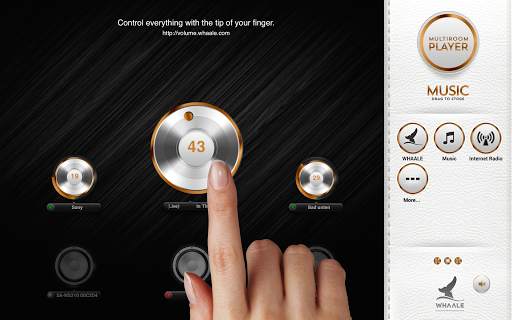 AirPlay Multiroom by WHAALE screenshot 10