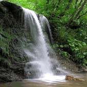 Forest Waterfall Live Wallpaper on 9Apps