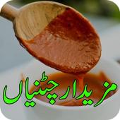 Sauce Recipes/Pakistani Chatnian icon