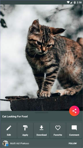 Nexus Wallpaper - Personalisasi Smartphone Anda screenshot 5