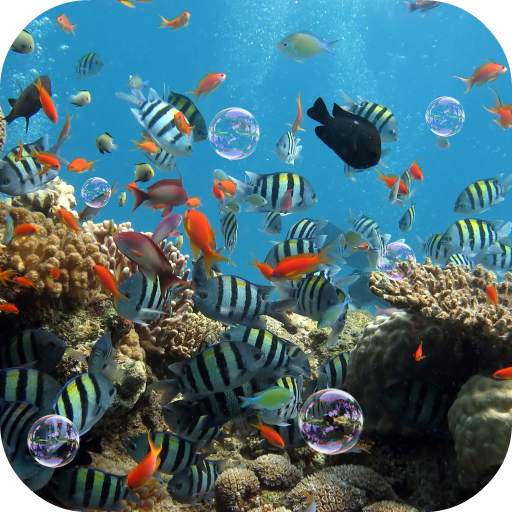 Aquarium Live Wallpaper 3.0