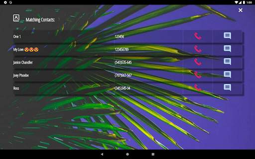 Phone Dialer screenshot 15