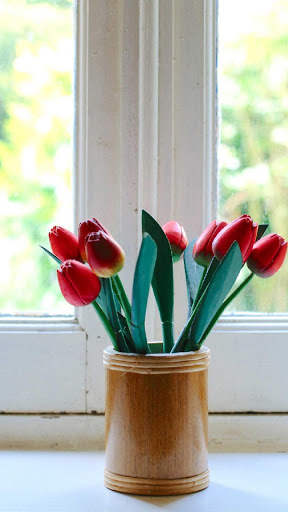 Tulips Wallpapers HD & 4k Backgrounds screenshot 4