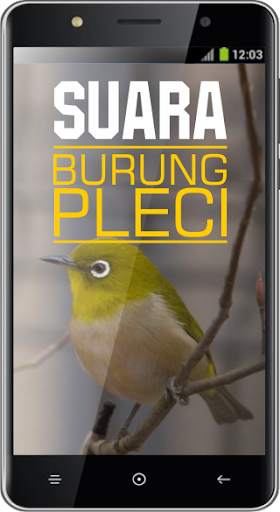 Suara Burung Pleci screenshot 2