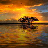 Beautiful Sunset LWP icon