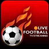 Live Football Tv-Global Cricket Sport 2020 Euro 2.1