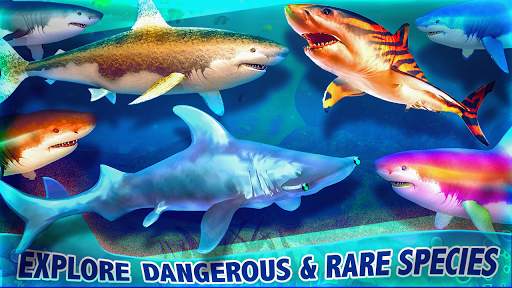 Real Shark Life - Shark Sim screenshot 12