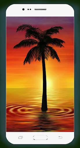 Palm Tree Wallpaper screenshot 9