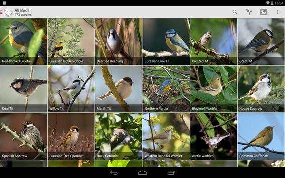 Bird Watcher screenshot 9