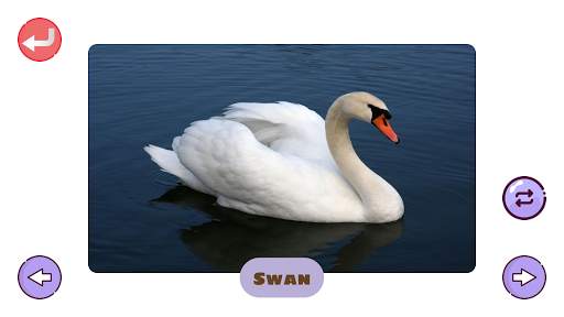 150  Animals and Birds Sounds for Kids screenshot 7