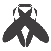 TownFly icon