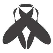 TownFly 1.1.24
