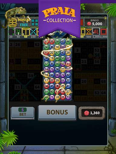 Video Bingo Tulum screenshot 5