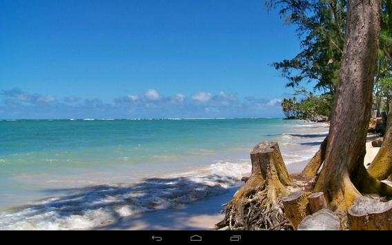Beach Wallpaper screenshot 11