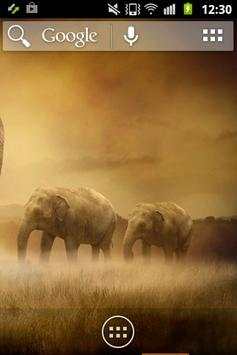 Wild Animals ADW Launcher screenshot 8