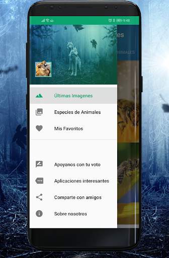 Fondos de Animales screenshot 2