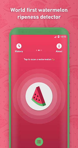 Melony: World First Watermelon Ripeness Detector screenshot 1