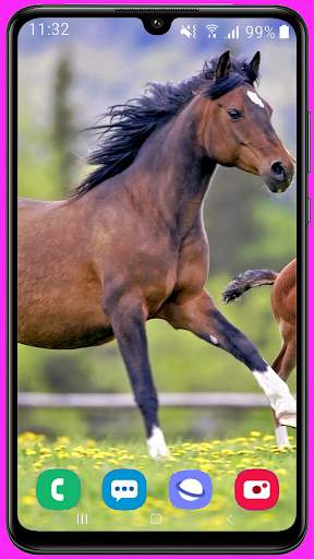 Horse Wallpaper Best HD screenshot 7